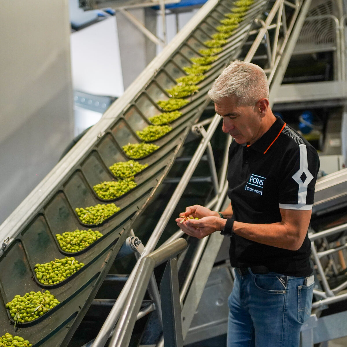 Drei edle Olivenölflaschen im 0,5-Liter-Format als ZEIT-Sonderedition von ArteFakt. Die Flaschen stehen nebeneinander in einer eleganten Verpackung, Glas und Etiketten im modernen Design. Hochwertiger Eindruck, reduziert, elegante Farbakzente, exklusiv für Genießer.