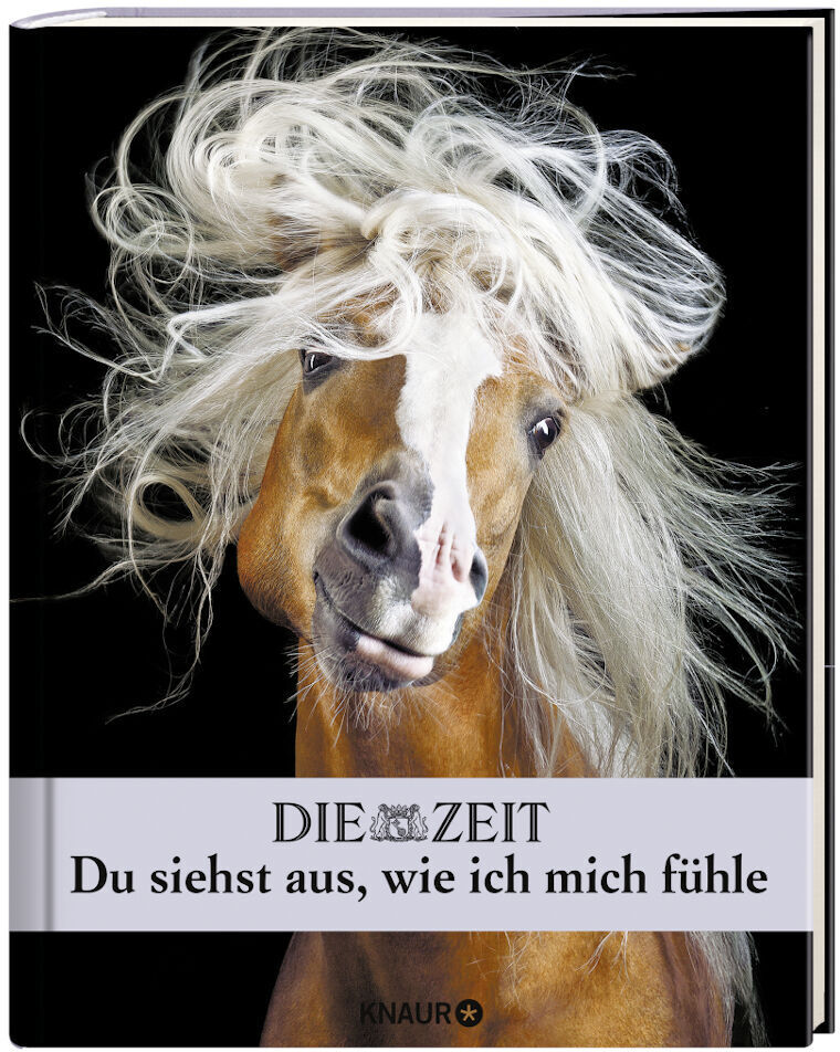 Freches Pferdefoto auf einem Buchdeckel mit dem Titel 'Du siehst aus, wie ich mich fühle'. Das Buch von Knaur hat eine lustige und humorvolle Gestaltung mit einem schelmisch dreinblickenden Pferd.
