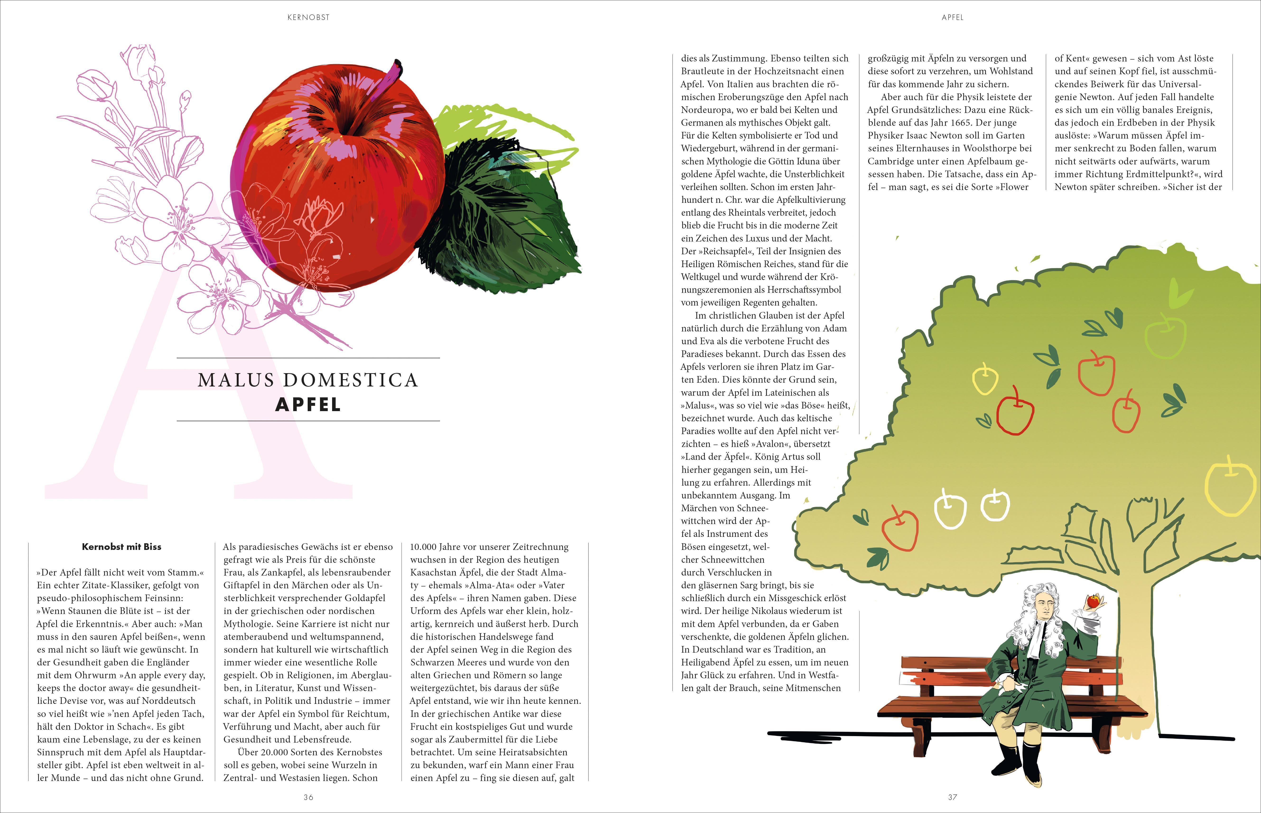 Innenansicht zu Schillings, R: Wesentliche