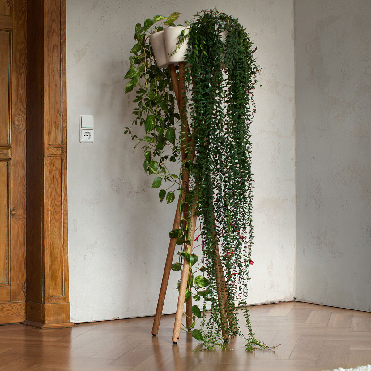 Ein Pflanzenhalter aus Holz im skandinavischen Stil befindet sich in einer Ecke eines Wohnzimmers. Der Halter hat drei Beine und trägt zwei Töpfe mit üppigen, herabhängenden Grünpflanzen. Der Hintergrund zeigt eine cremefarbene Wand und einen Teil eines Holzschranks, was eine gemütliche und naturverbundene Atmosphäre schafft.