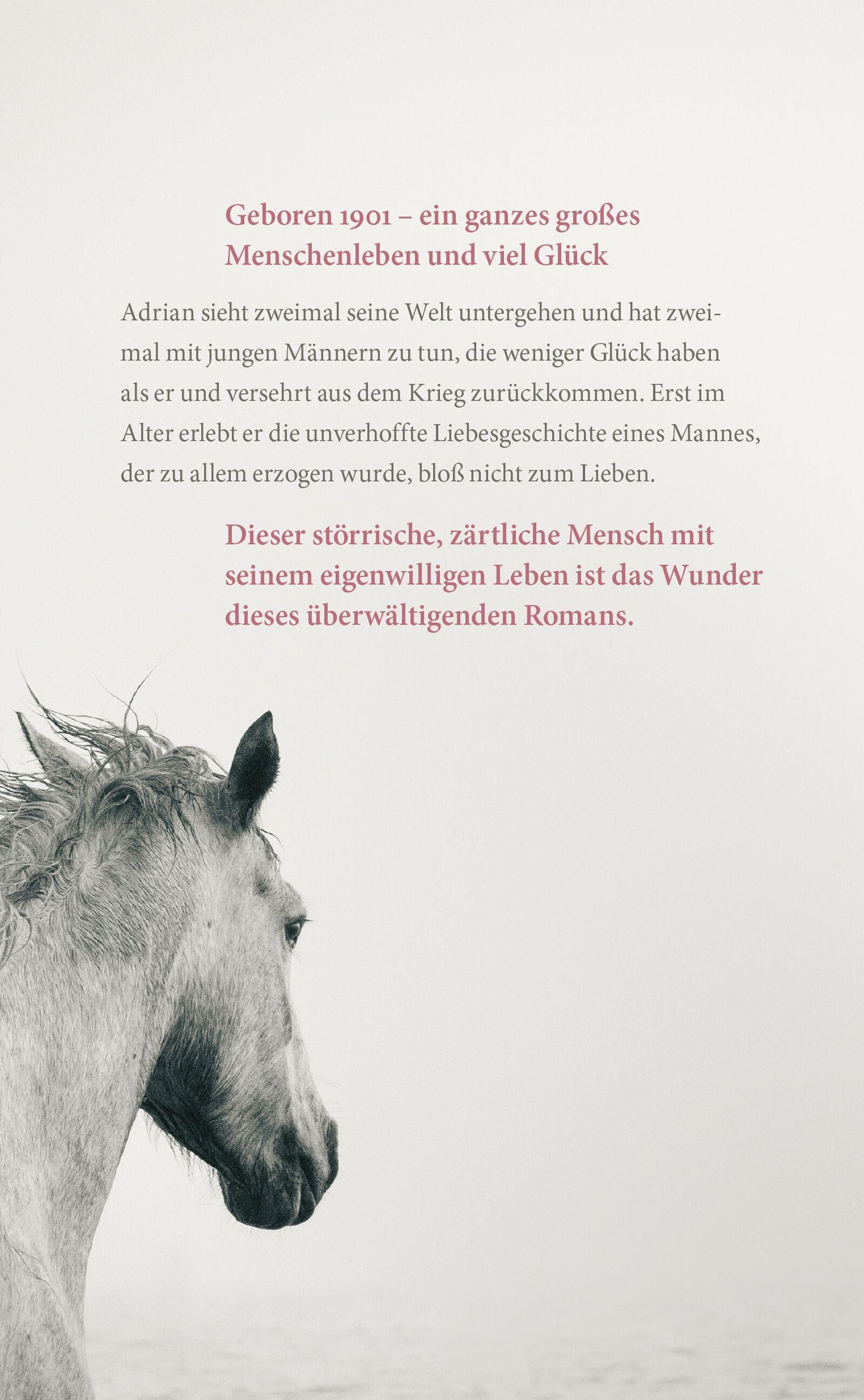 Innenansicht zu Gstrein, N: Im ersten Licht