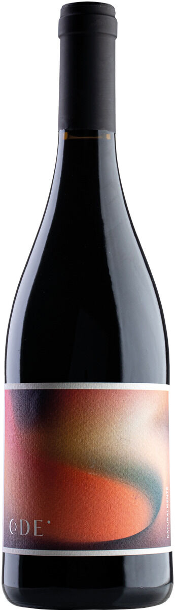 Eine Flasche portugiesischer Rotwein mit kunstvoll gestaltetem Etikett, Teil eines Wein- und Feinkost-Pakets aus Portugal.