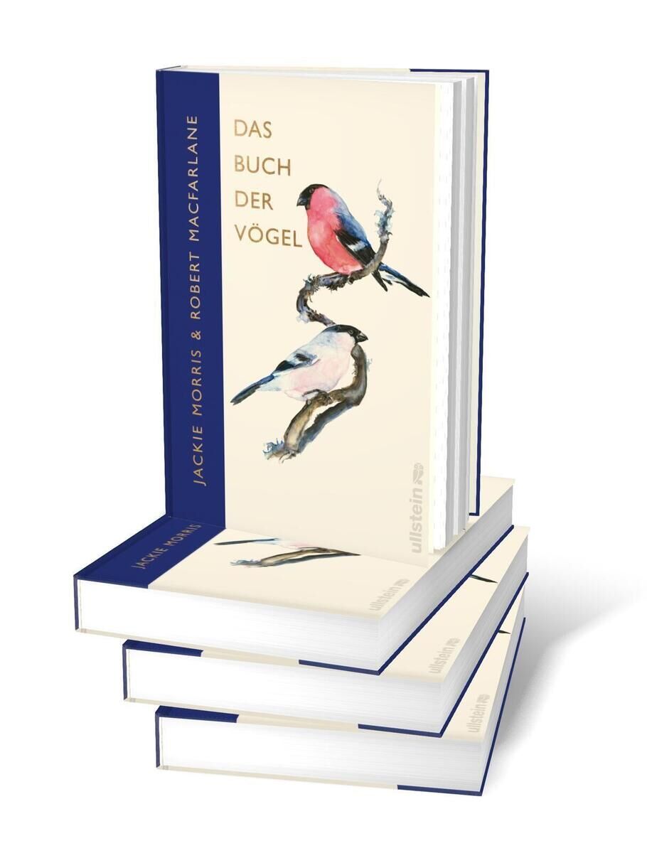 Innenansicht zu Macfarlane, R: Buch der Vögel
