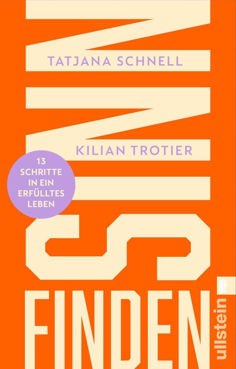 Cover Schnell, T: Sinn finden