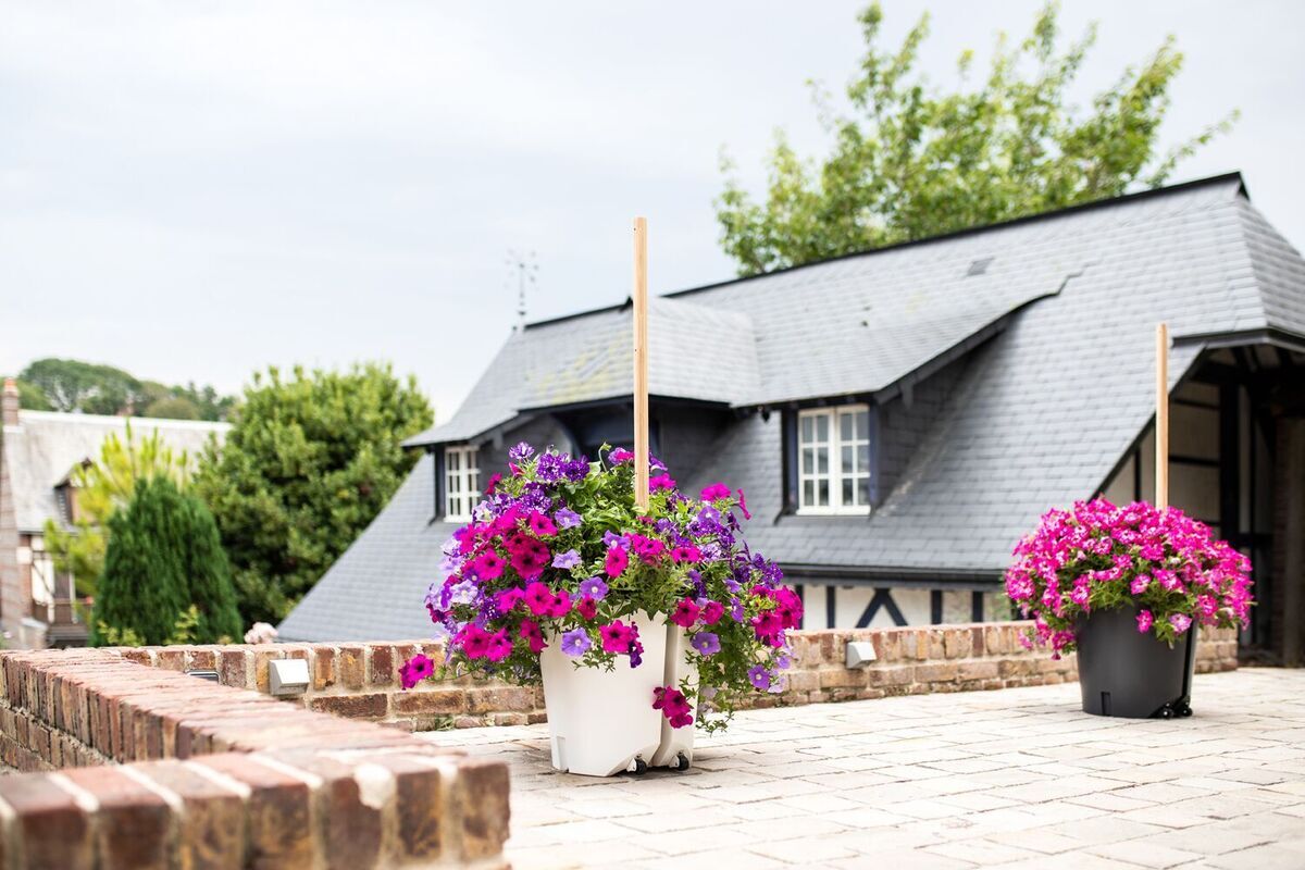 Mobiler Pflanzkübel auf einer Terrasse mit bunten Blumen in Pink und Lila, neben einem Haus mit grauem Dach. Im Hintergrund sind Bäume und ein weiterer Pflanzkübel zu sehen.