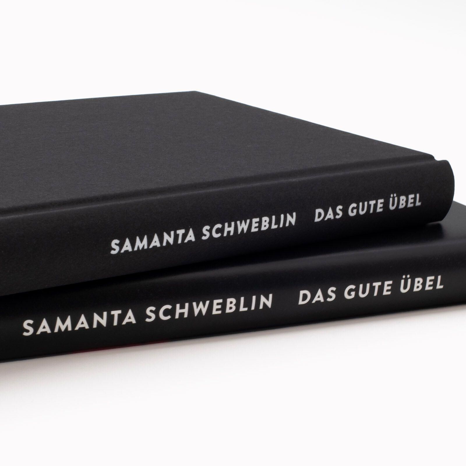 Innenansicht zu Schweblin, S: Das gute Übel