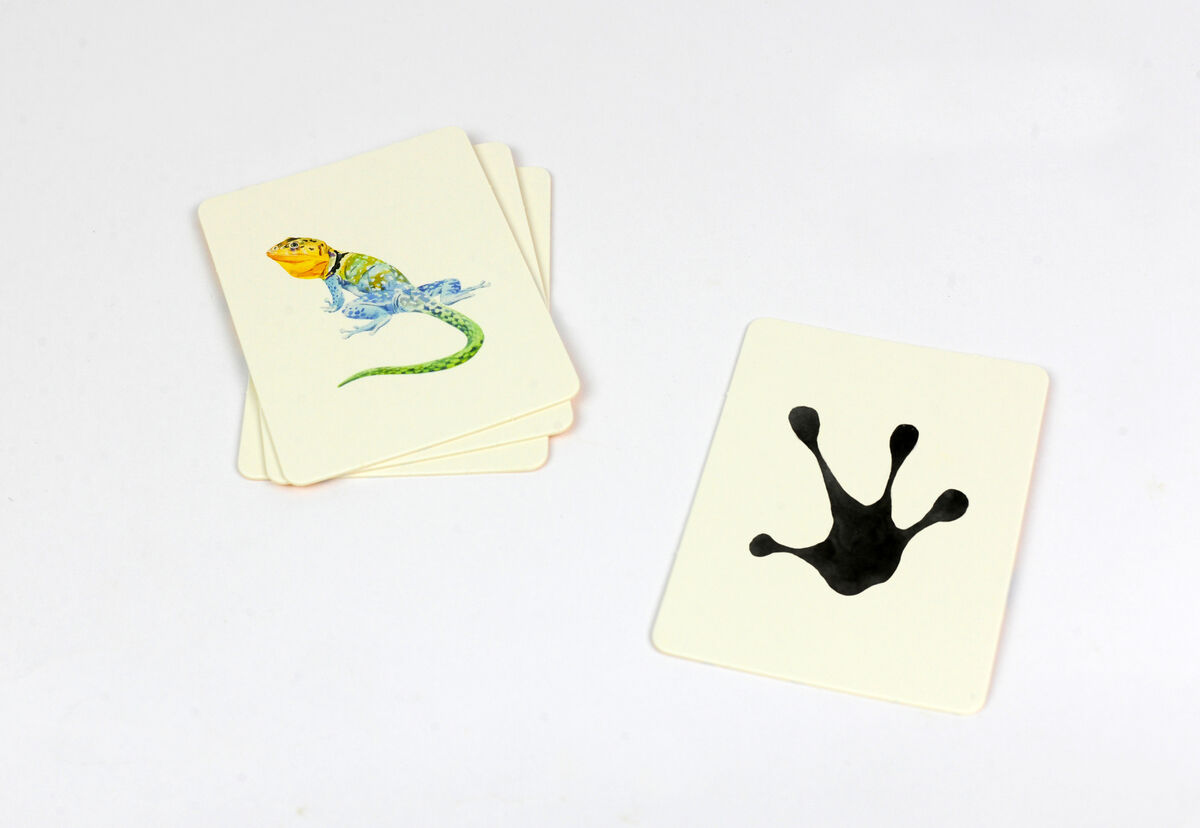 Das Bild zeigt zwei Stapel von Spielkarten auf einem weißen Hintergrund. Eine der Karten zeigt eine farbige Illustration eines Eidechsen ähnlichen Tieres, während die andere Karte einen schwarzen Pfotenabdruck zeigt. Das Memo-Spiel heißt »Wilden Tieren auf der Spur - 25 Tiere und ihre Pfotenabdrücke«.