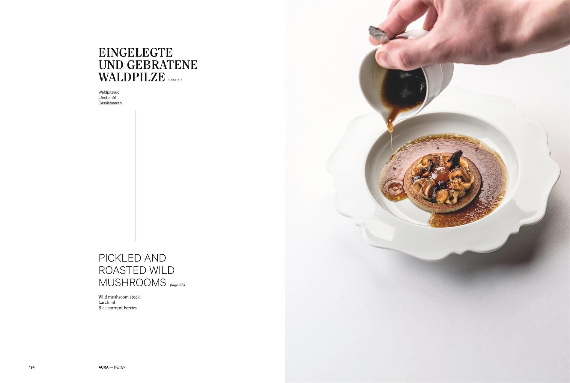 Innenansicht zu Herrmann, A: AURA & ANIMA