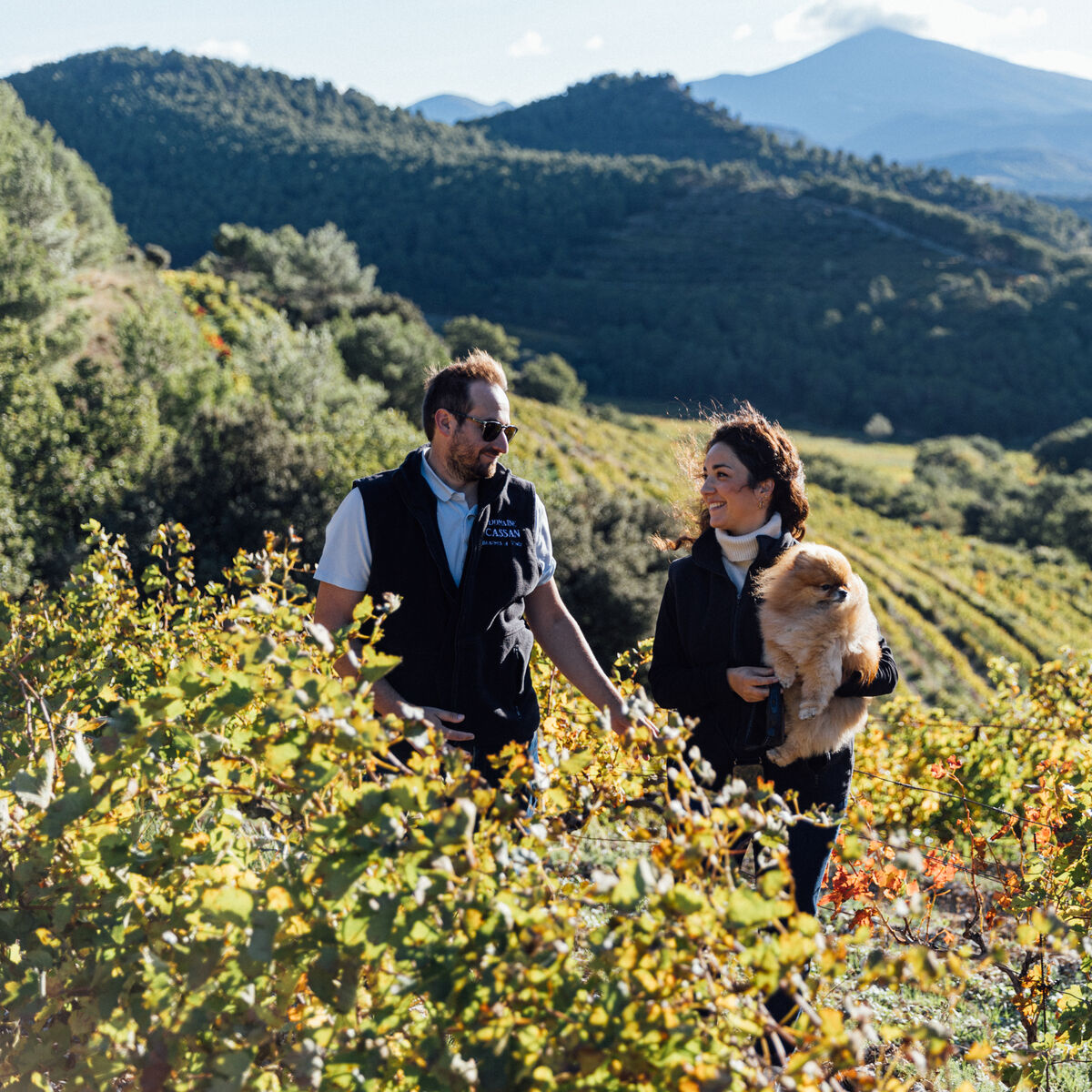 Zwei Personen und ein kleiner Hund spazieren durch einen sonnigen Weinberg in hügeliger Landschaft mit einer malerischen Bergsilhouette im Hintergrund. Die Szene strahlt Naturverbundenheit, Entspannung und Genuss aus und zeigt die Vielfalt eines Weinguts bei Croix de Pins.