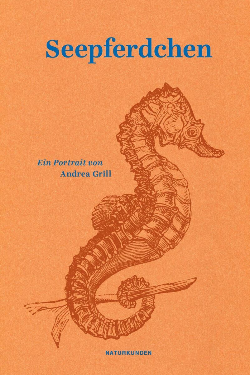 Das Cover des Buches 'Seepferdchen', geschrieben von Andrea Grill, zeigt eine detaillierte Illustration eines Seepferdchens auf orangefarbenem Hintergrund mit blauer Schrift.