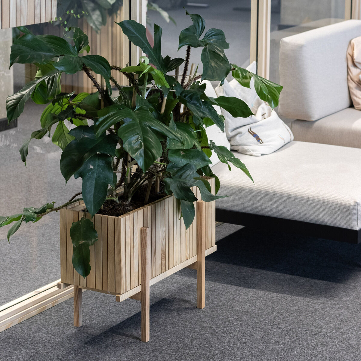 Ein moderner Pflanzenhalter aus Holz mit einer großen grünen Zimmerpflanze, der in einem Büro mit Glaswänden neben einem hellen Sofa aufgestellt ist.
