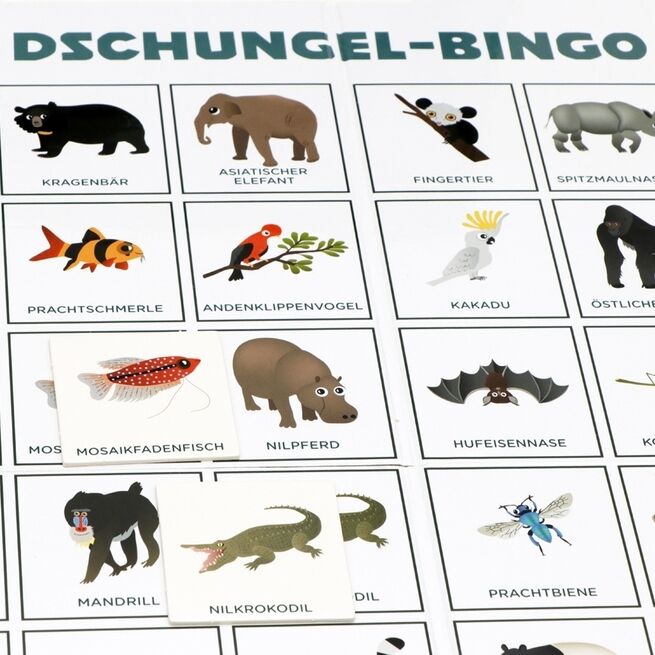 Ein Dschungel-Bingo-Spielbrett mit verschiedenen Tierillustrationen wie Giraffe, Löwe, Schimpanse, und Nashorn. Die Tiere sind in farbenfrohen Illustrationen auf weißem Hintergrund dargestellt. 'DSCHUNGEL-BINGO' ist oben auf dem Spielbrett in grüner Schrift zu sehen.