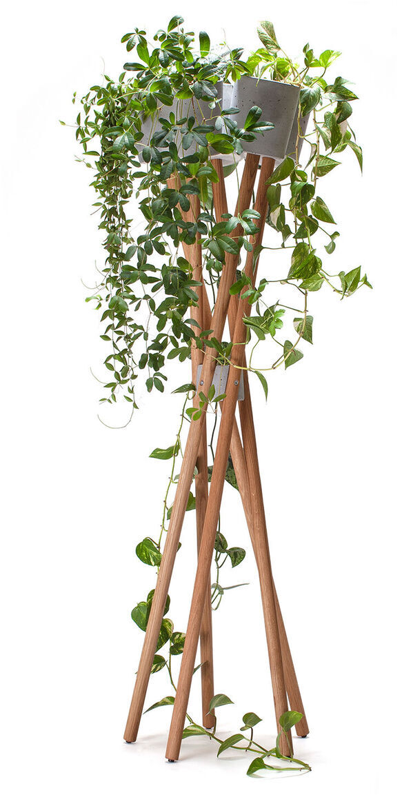 Ein moderner Pflanzenständer aus Holz, der eine üppig wachsende Zimmerpflanze mit grünen Blättern trägt. Die Pflanze rankt sich entlang der Holzbeine des Ständers herunter.