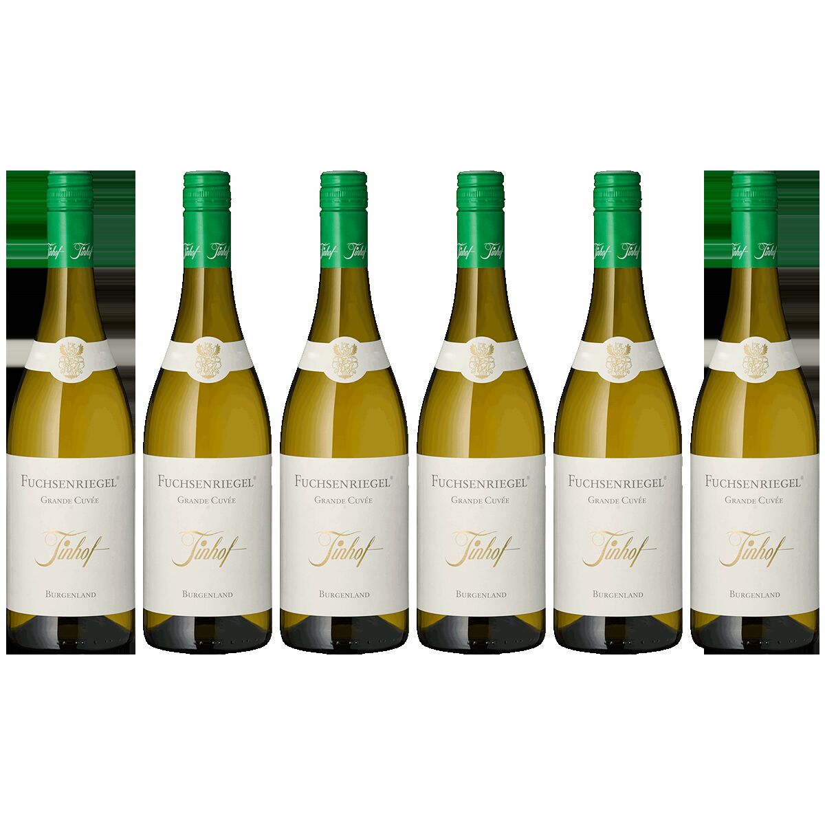 Sechs Flaschen Fuchsenriegel Tinhof Weißwein aus dem Burgenland, nebeneinander aufgereiht mit hellen Etiketten und grünlichen Glasflaschen, geeignet als Geschenk oder für festliche Anlässe.