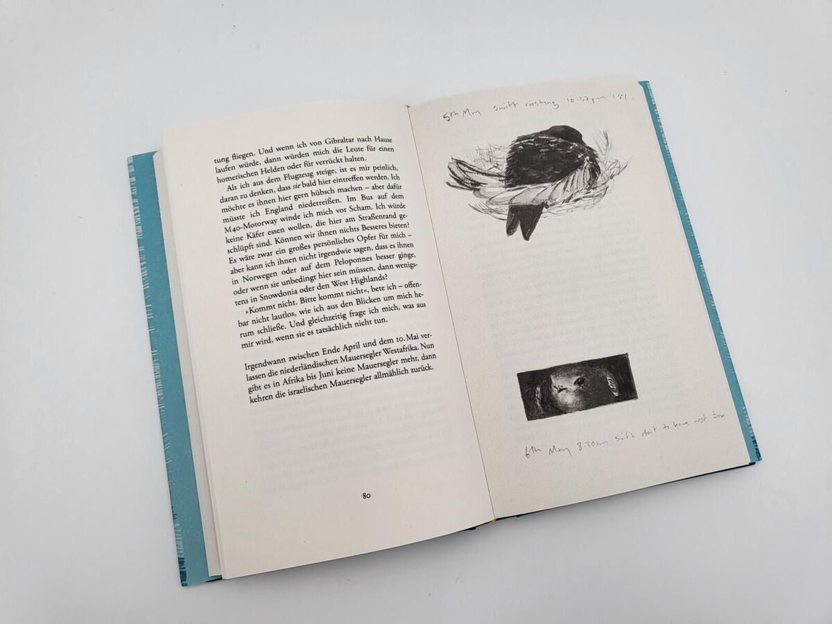 Ein aufgeschlagenes Hardcover-Buch mit dem Titel 'Der Ruf des Sommers' von Charles Foster. Die Buchseiten zeigen Text auf Deutsch und schwarz-weiße Illustrationen. Das Buch hat einen weißen Hintergrund und blaue Ränder.