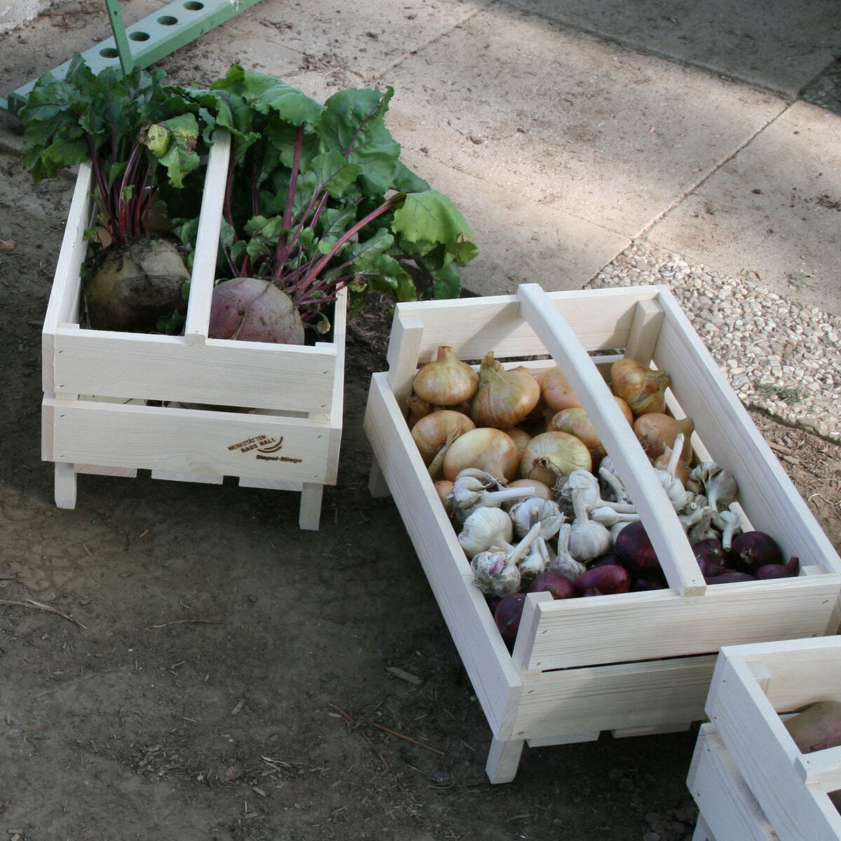 Holzkisten mit frischem Gemüse und Zwiebeln, die auf einem steinigen Untergrund im Freien stehen.