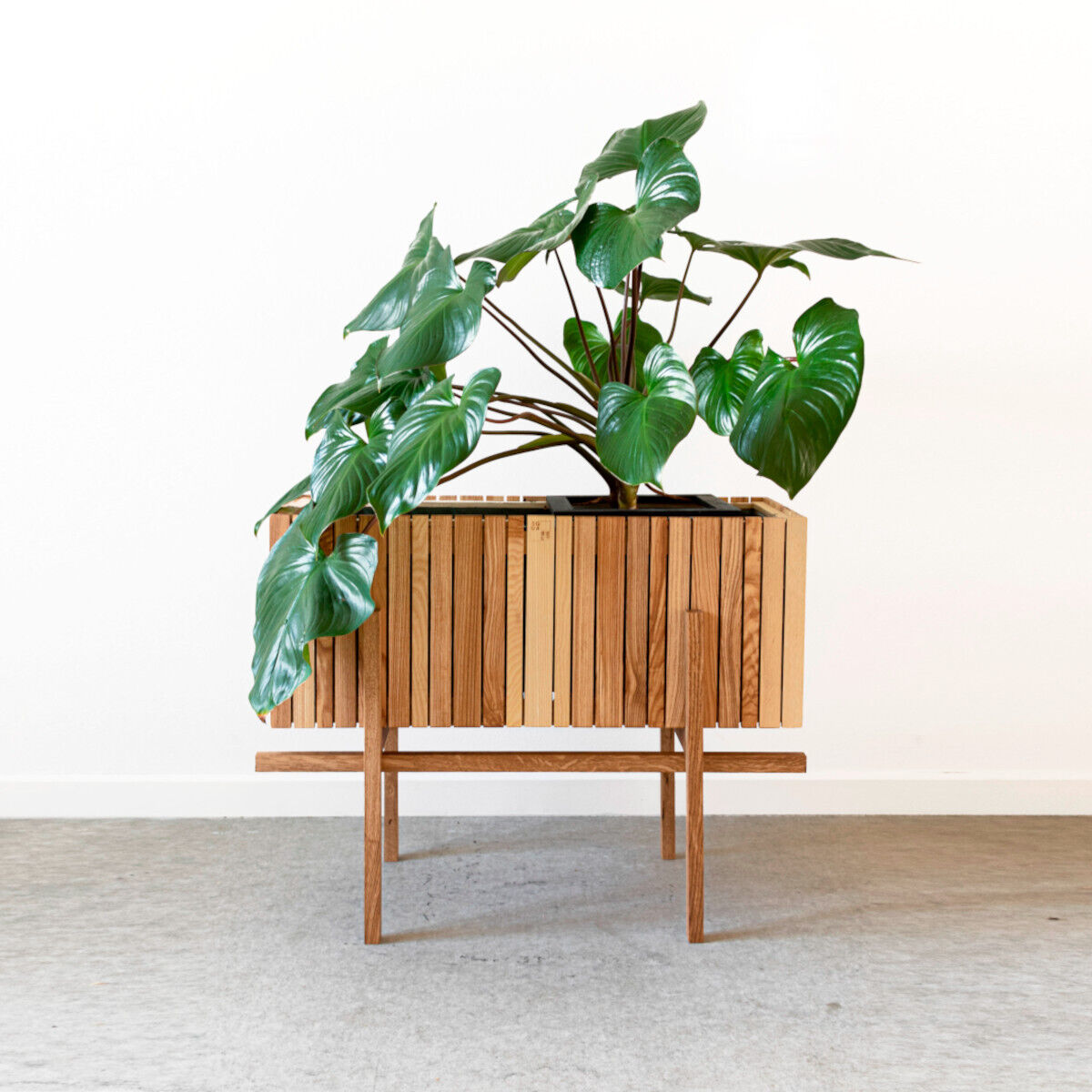 Pflanzgefäß »GrowWIDE« aus Holz mit einem großen, grünen Blattpflanze darin. Es steht auf Holzbeinen und hat ein modernes Design, das für Innenräume geeignet ist.