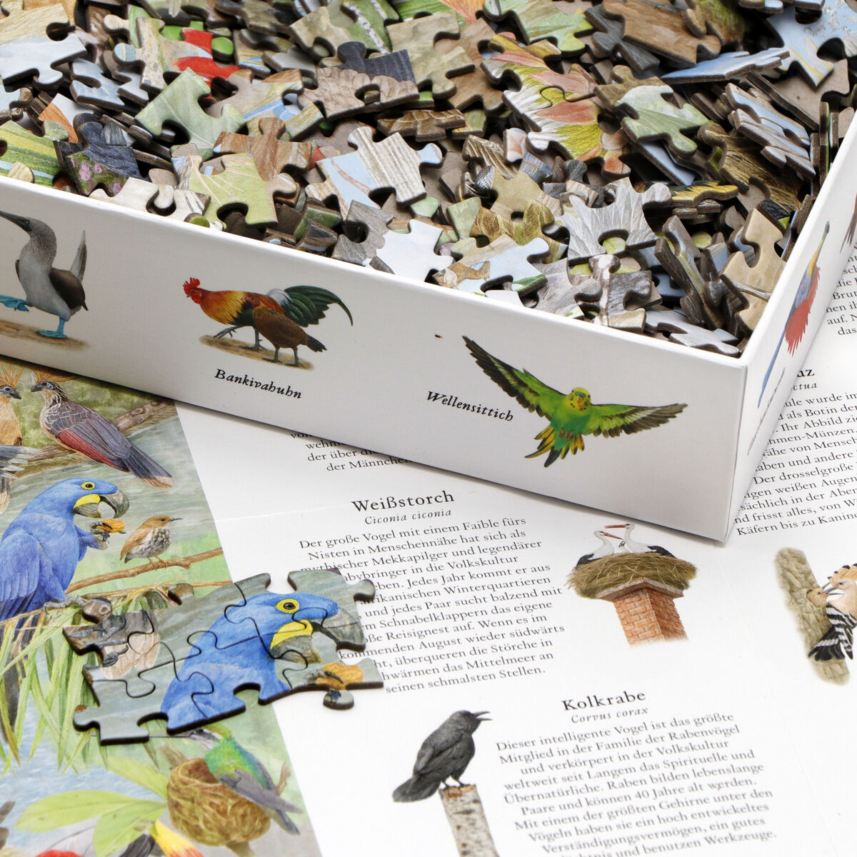 Ein Puzzle mit dem Titel »In 50 Vögeln um die Welt«. Es zeigt diverse Vogelillustrationen und liegt auf einer offenen Schachtel. Einige Puzzleteile sind bereits zusammengesetzt und zeigen farbige Vögel.