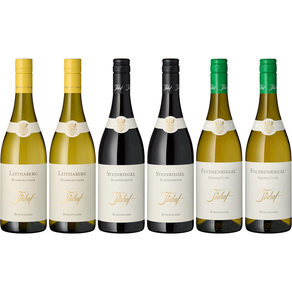 Sechs hochwertig etikettierte Weinflaschen aus Österreich des Weinguts Tinhof stehen nebeneinander in zwei Farbgruppen, jeweils drei Flaschen Weißwein und drei Flaschen Rotwein, vor weißem Hintergrund.
