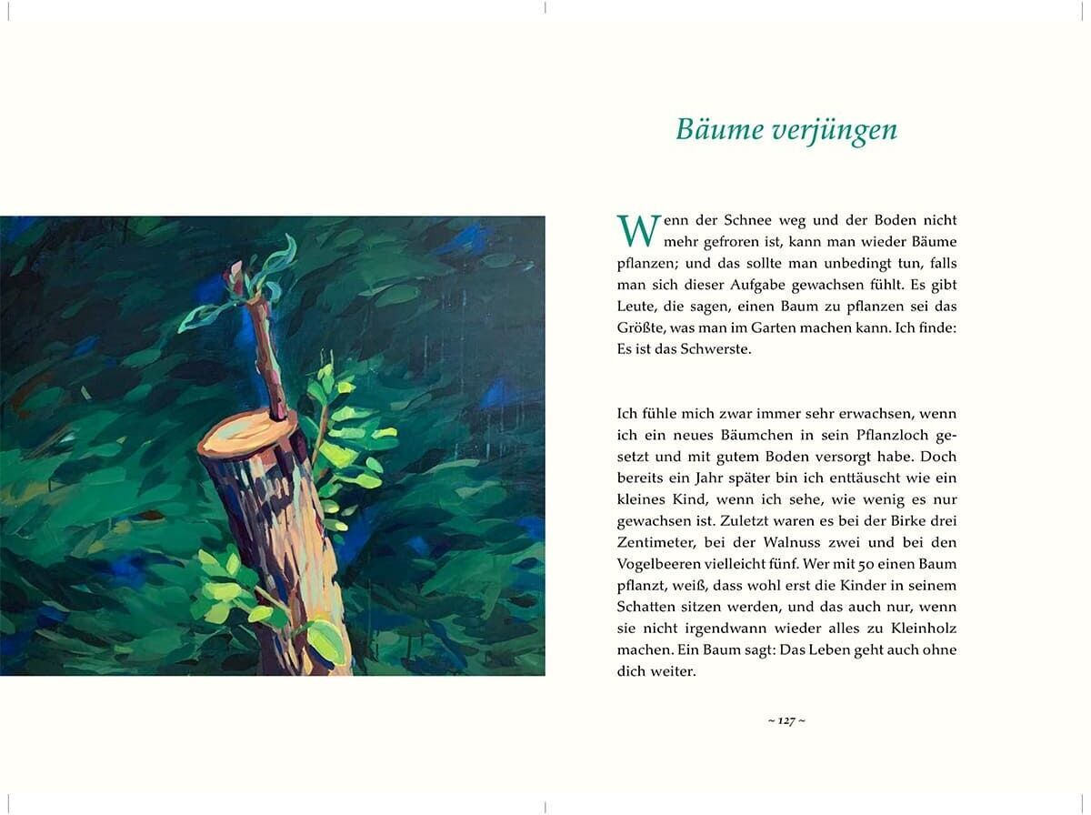 Aufgeschlagenes Buch mit einer Zeichnung eines Baumstumpfs und einem neuen Spross, umgeben von grünem Laub. Rechts befinden sich Textabsätze. Überschrift 'Bäume verjüngen' in grüner Schrift.