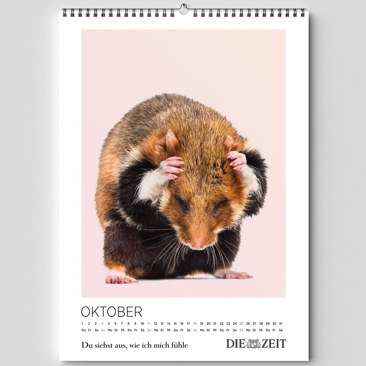 Kalender mit humorvollem Hamsterfoto für den Monat Oktober. Der Hamster hält sich mit den Pfoten die Ohren zu und ist vor einem rosafarbenen Hintergrund abgebildet. Unter dem Bild steht der Schriftzug 'Du siehst aus, wie ich mich fühle'.