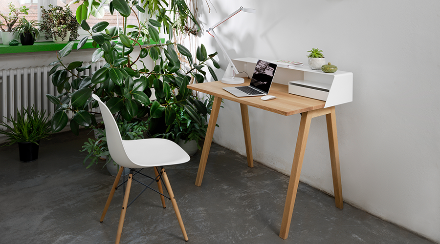 Moderner Home-Office-Arbeitsplatz mit Holzschreibtisch, weißem Stuhl und mehreren grünen Zimmerpflanzen neben einem Fenster