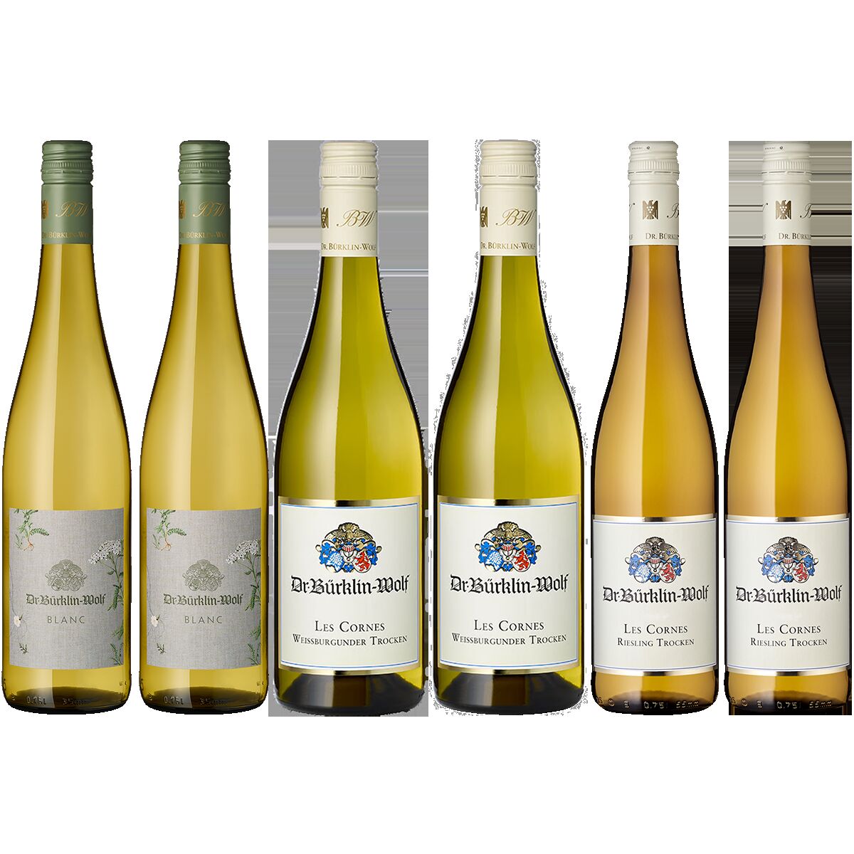 Sechs Flaschen Weißwein des Weinguts Bürklin-Wolf, jeweils mit elegantem Etikett und farblich abgestimmten Verschlüssen, stehend nebeneinander vor weißem Hintergrund.