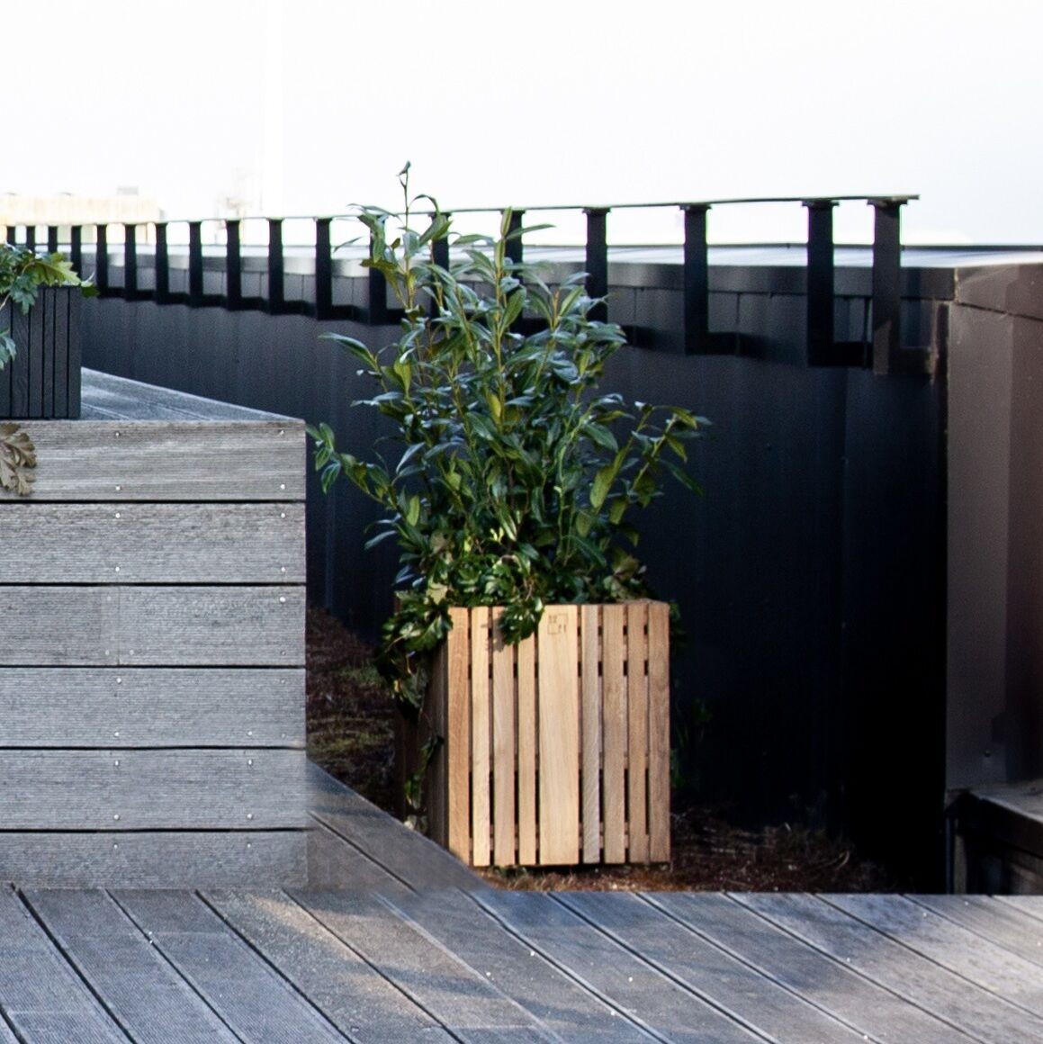 Ein Holz-Pflanzgefäß der Marke GrowMORE steht auf einer modernen Terrasse mit grauem Holzboden. Das Gefäß enthält eine grüne Pflanze und befindet sich neben einer Glasbrüstung und einer schwarzen Metallbrüstung.