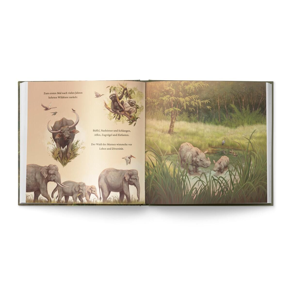 Ein offen aufgeschlagenes Kinderbuch mit dem Titel 'Der Junge, der einen Wald pflanzte'. Die Doppelseite zeigt Illustrationen von Tieren in der Natur, u.a. Elefanten, Büffel und Vögel. Die Farben sind überwiegend Grün- und Brauntöne.