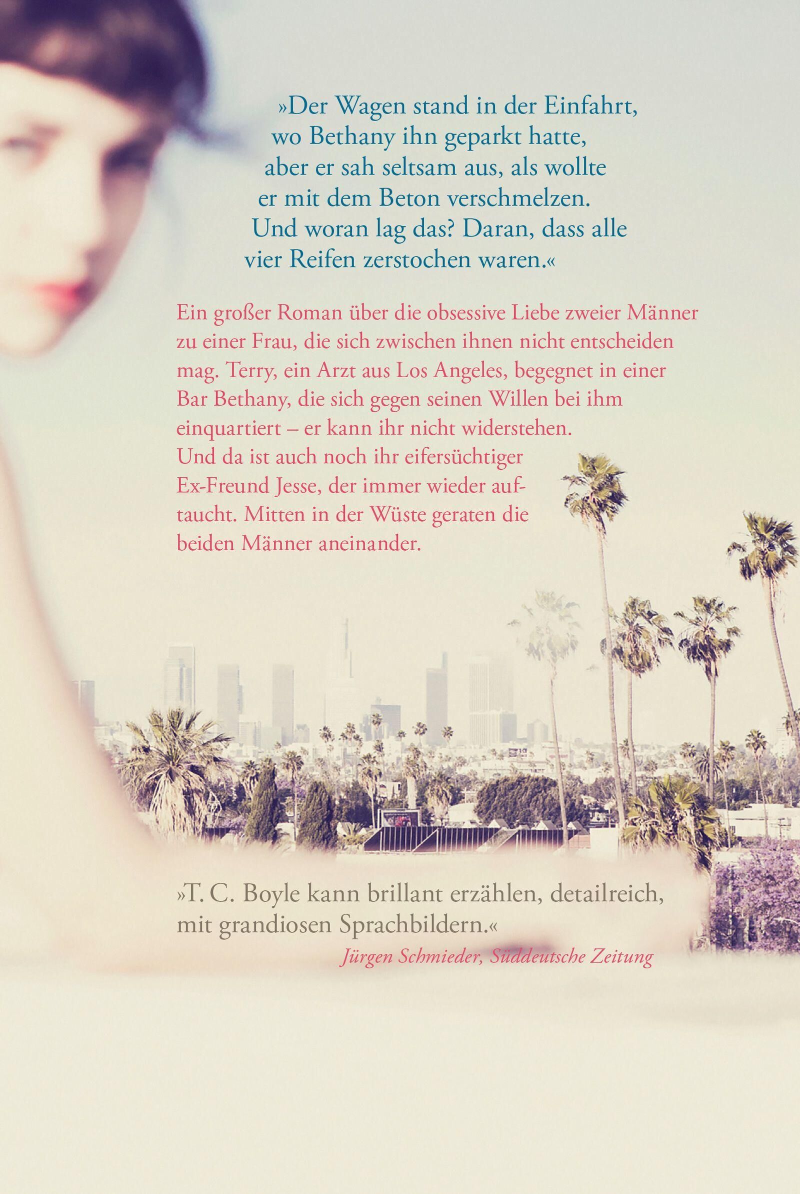 Innenansicht zu Boyle, T: No Way Home