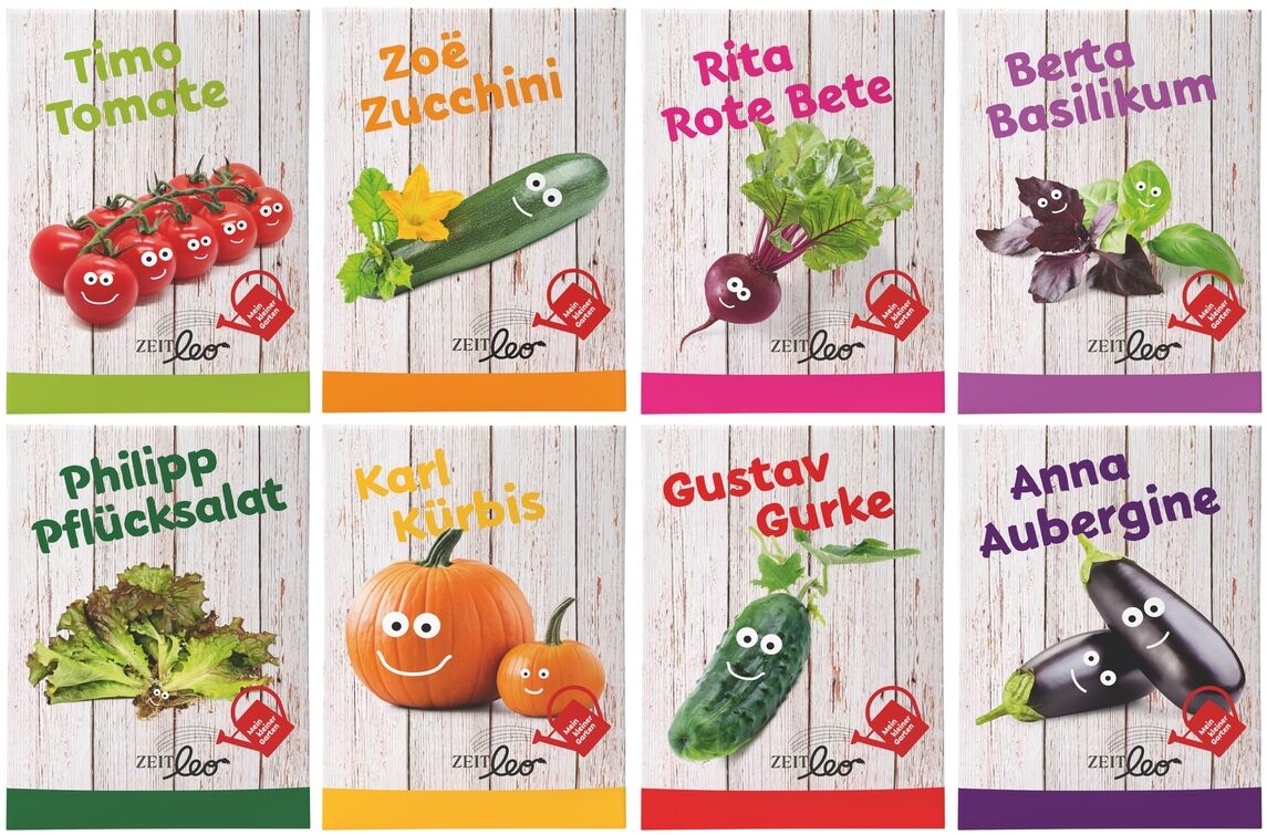Verpackungen von ZEIT LEO-Edition »Mein kleiner Garten« mit verschiedenen Gemüsesamen für Kinder, illustriert mit bunten und lustigen Zeichnungen von Tomaten, Zucchini, Rote Bete, Basilikum, Pflücksalat, Kürbis, Gurke und Aubergine.