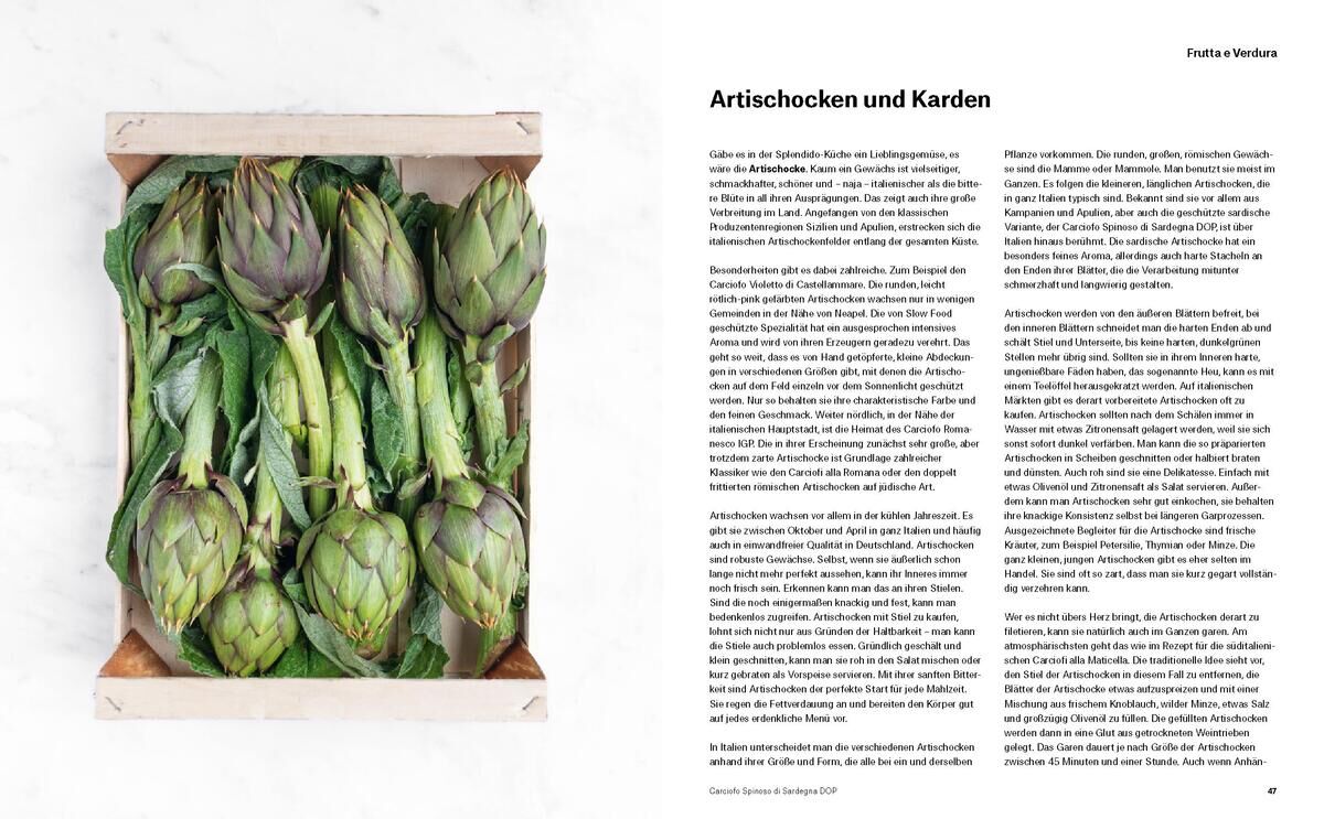 Eine Seite aus dem Buch 'Splendido. Italienische Produktkunde und Rezepte' zeigt eine Kiste voller Artischocken auf der linken Seite und einen informativen Text zu Artischocken und Karden auf der rechten Seite.