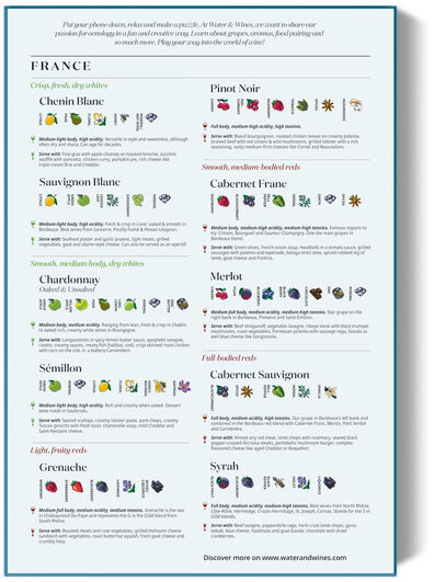 Wein Puzzle mit dem Thema Frankreich zeigt eine detaillierte Karte von Weinregionen, illustriert mit Weinreben und unterschiedlichen Weinsorten. Enthält Informationen über französische Weine und Weinbaugebiete, dargestellt in verschiedenen Farben.