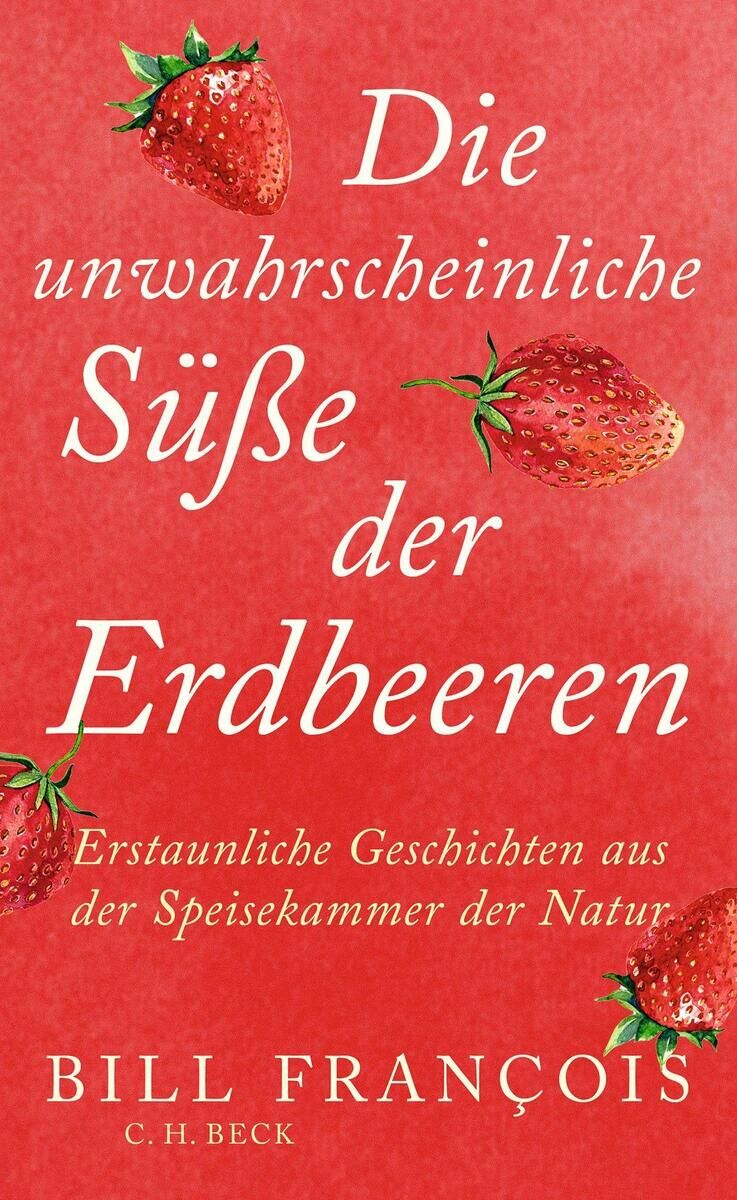 Cover François, B: Die unwahrscheinliche Süße der Erdbeeren