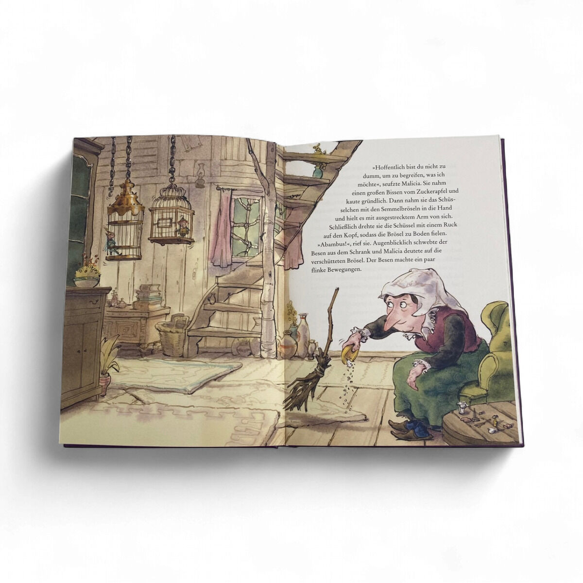 Doppelseite eines illustrierten Kinderbuchs "Lua Luftwurzel – Silberelfen fängt man nicht" aus der ZEIT-Edition »Ausgezeichneter Lesespaß!«. Links eine gemütliche, detailreiche Stube mit Vogelkäfigen, Regalen und Holztreppe; rechts sitzt eine Hexe mit Hakennase auf einem grünen Stuhl und hält einen Besen. Text befindet sich oben rechts.