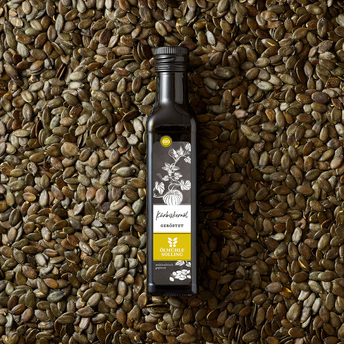 Eine schwarze Glasflasche Kürbiskernöl (250 ml) der Marke Ölmühle Solling liegt auf einem dichten Bett dunkelgrüner, braun getönter Kürbiskerne. Das Etikett ist mit einer Illustration weißer Kürbisblätter verziert und deutlichen Beschriftungen in Weiß und Gelb versehen.