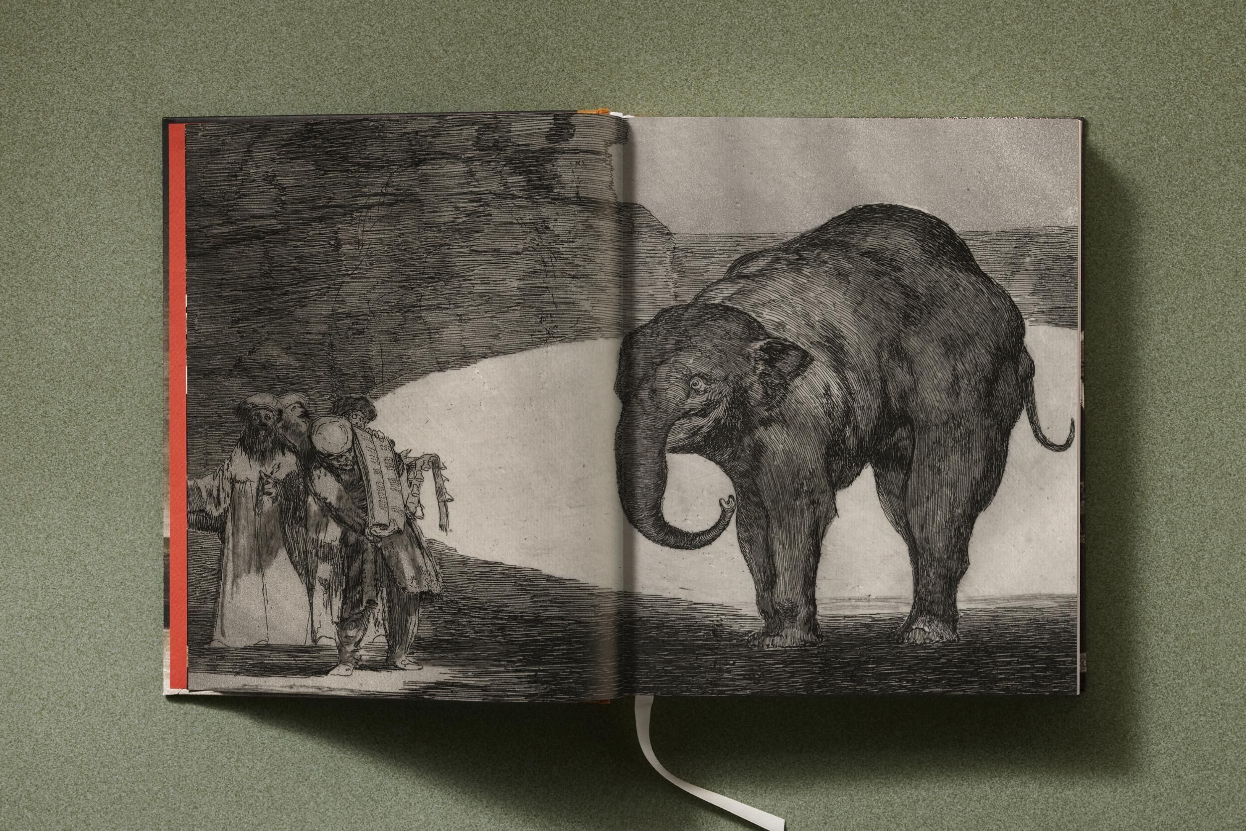 Innenansicht zu Reuter, A: Goya. The Complete Prints