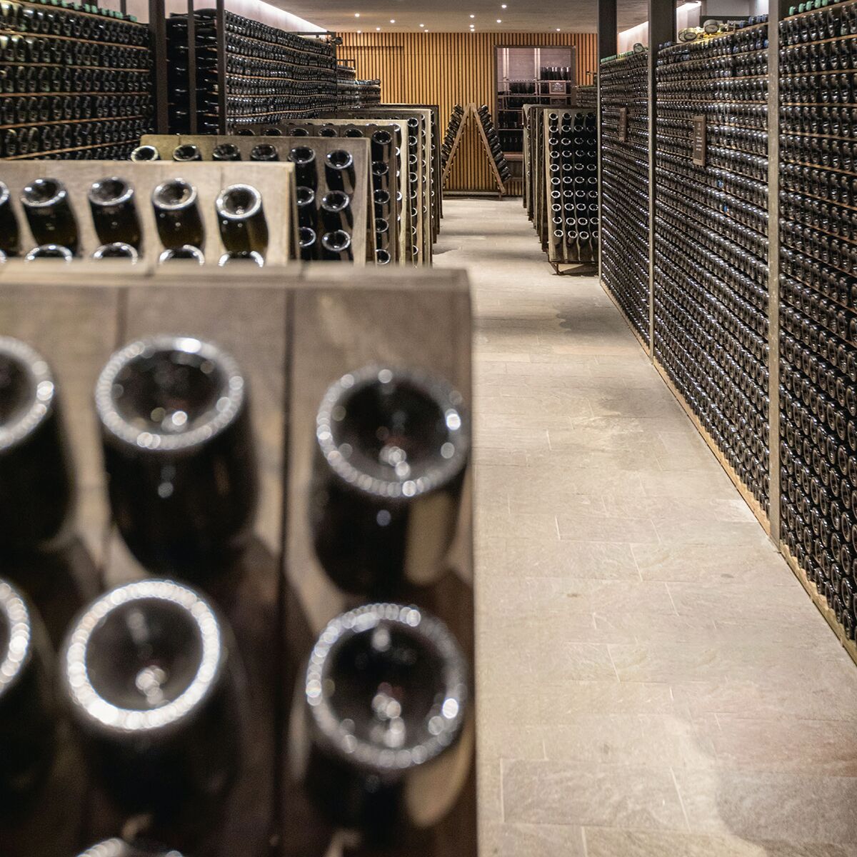 Weinkeller mit langen, gut beleuchteten Regalen, in denen zahlreiche Weinflaschen gelagert werden. Die Flaschen stehen schräg in Holzgestellen, Räume sind aufgeräumt und sauber, heller Steinboden und warme Beleuchtung vermitteln eine elegante Atmosphäre.