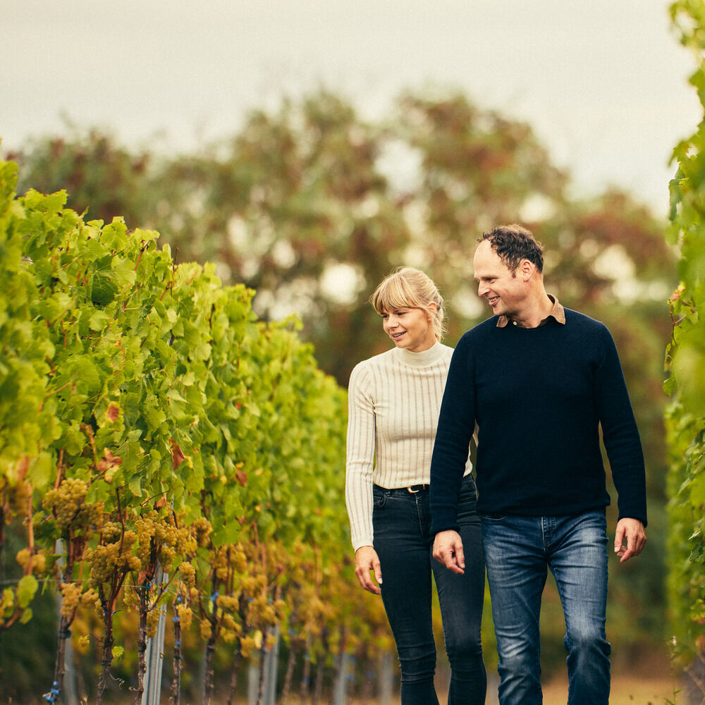 Ein lächelndes Paar geht Hand in Hand durch einen Weinberg. Links und rechts stehen dichte Reben mit grün-gelblichen, teils herbstlich verfärbten Blättern an Pfählen. Die Frau trägt einen cremefarbenen Rollkragenpullover und dunkle Jeans, der Mann einen dunkelblauen Pullover und Jeans. Im unscharfen Hintergrund stehen Bäume.