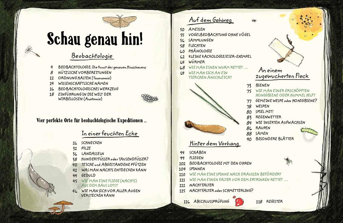 Innenansicht zu Clarkson, G: Schau genau hin!