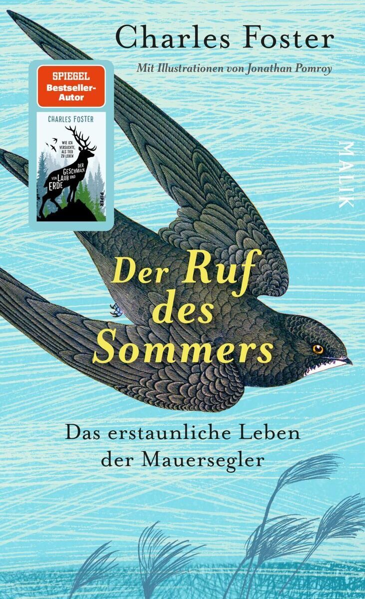Das Buchcover des Buches 'Der Ruf des Sommers' von Charles Foster zeigt eine Illustration eines Mauerseglers, der über einem blauen Hintergrund fliegt. Der Titel ist in gelben Buchstaben geschrieben, und der Autorname ist oben in schwarz abgebildet. Ein kleines Bild mit einer anderer Vogel auf dem Buch bedeckt ist ebenfalls sichtbar.