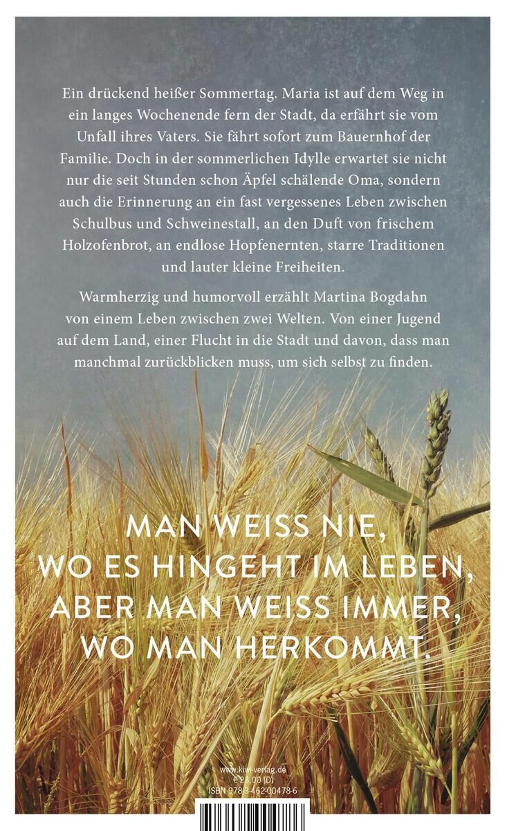 Buchcover des Sommerromans 'Mühlensommer' von Martina Bogdahn, zeigt einen Weizenfeld mit einem Zitat: 'Man weiß nie, wo es hingeht im Leben, aber man weiß immer, wo man herkommt.'.