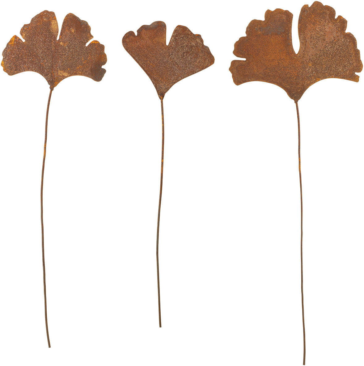 Drei Gartenstecker aus Metall in Form von Ginkgoblättern, in Rostoptik gefärbt, vor einem weißen Hintergrund. Sie sind länglich mit geschwungenen Blattformen.
