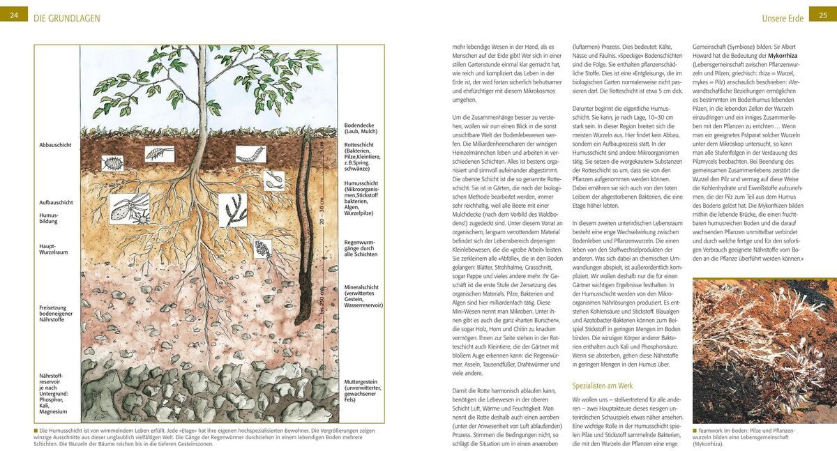 Eine Doppelseite des Buches 'Der Biogarten' von Marie-Luise Kreuter, auf der eine umfassende Illustration des Bodenlebens dargestellt ist. Die Seiten sind textlastig mit zahlreichen Erklärungen und Beschreibungen zur biologischen Gartenarbeit. Die Farben der Illustration sind hauptsächlich grün, braun und beige. Zusätzlich zu den Texten und Illustrationen sind auch kleinere Fotos und Skizzen von Pflanzen und Gartenpraktiken zu sehen.