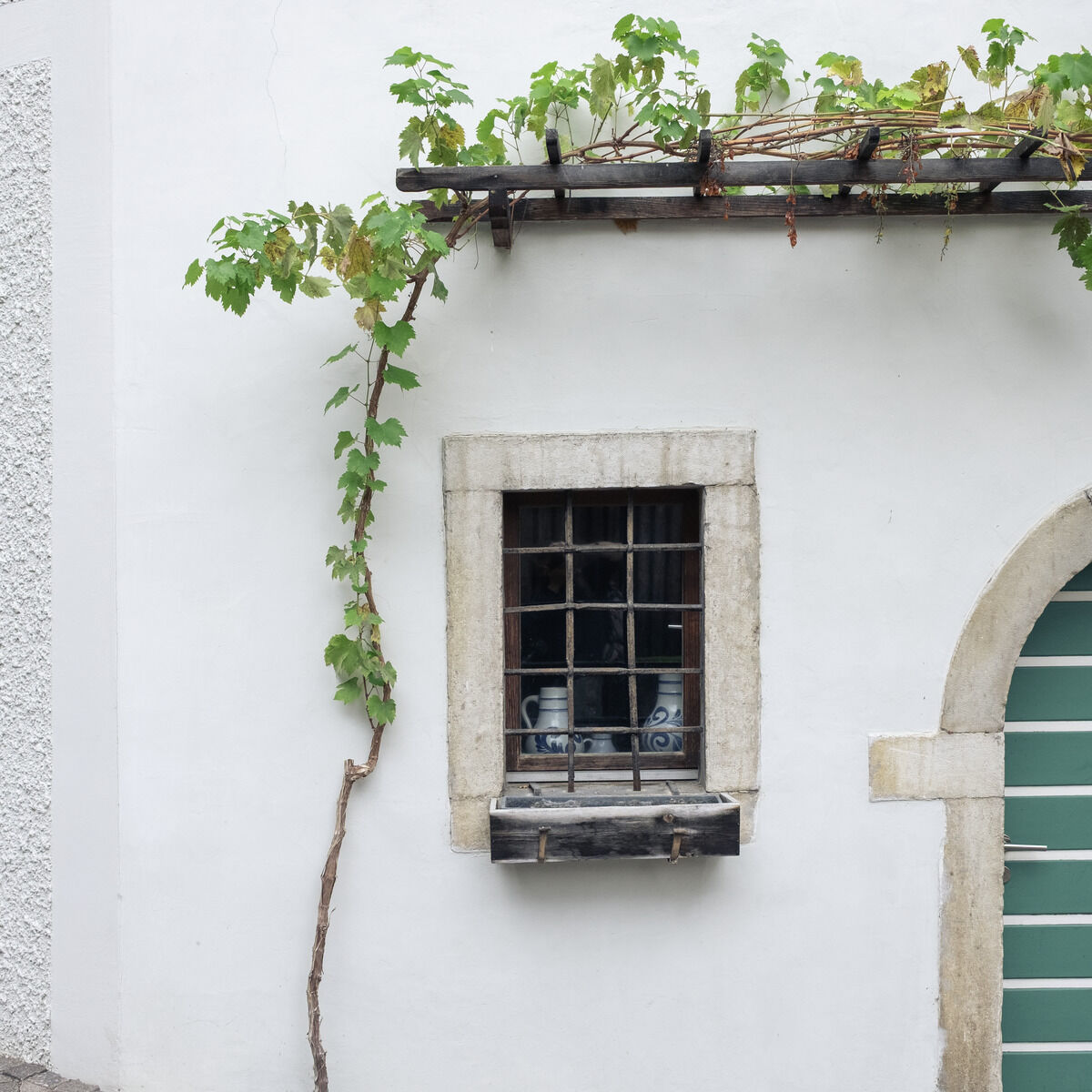 Weiße Hausfassade mit einem kleinen Fenster, das von einem stabilen Gitter geschützt wird. Eine Weinrebe klettert aus einem Beet am gepflasterten Boden an der Wand empor und windet sich auf ein Rankgerüst über dem Fenster. Rechts ein Bogen mit grünem Tor.