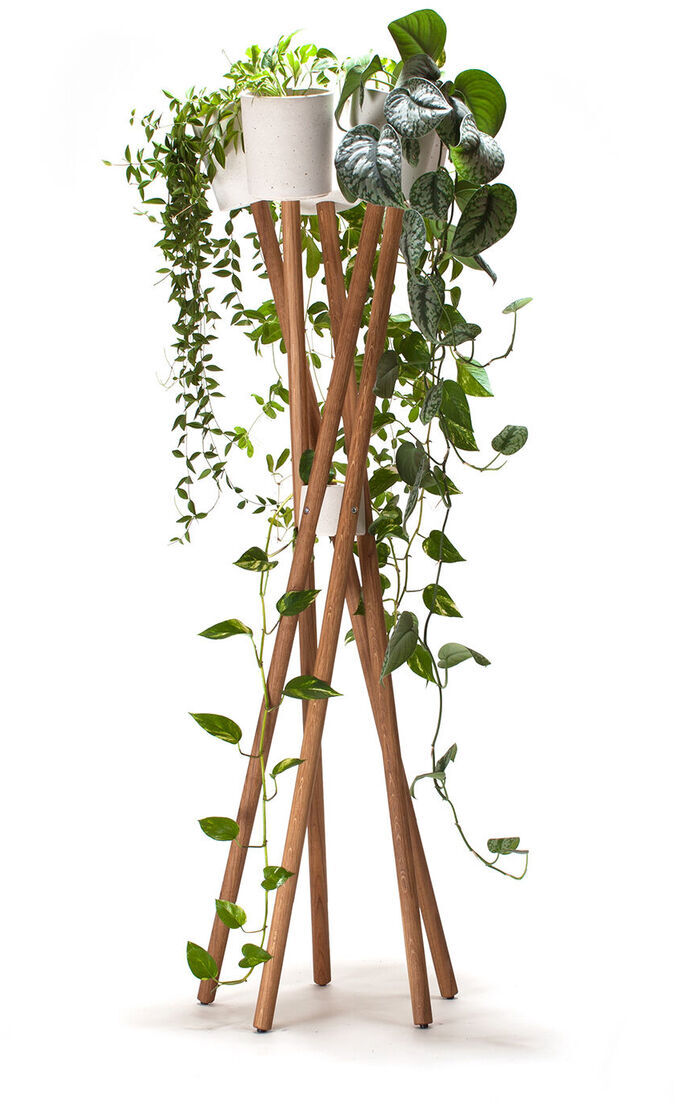 Ein minimalistischer, moderner Pflanzenständer aus Holz mit weißem Blumentopf und Hängepflanzen. Ideal für Inneneinrichtungen und Dekorationsliebhaber.