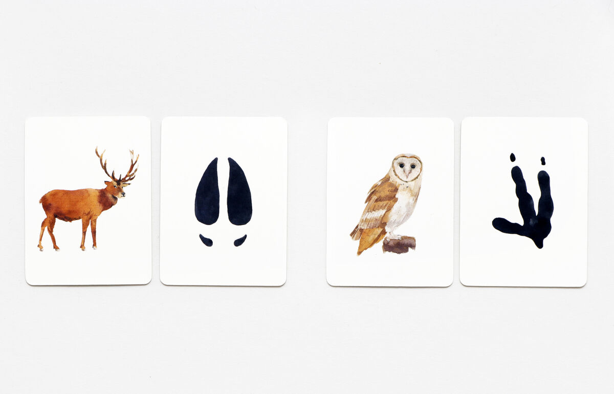 Das Bild zeigt vier Karten aus dem Memo-Spiel »Tiere in deiner Umgebung - 25 Tiere und ihre Fußabdrücke«. Zwei der Karten zeigen einen Hirsch und eine Eule, die anderen beiden zeigen deren entsprechende Fußabdrücke.
