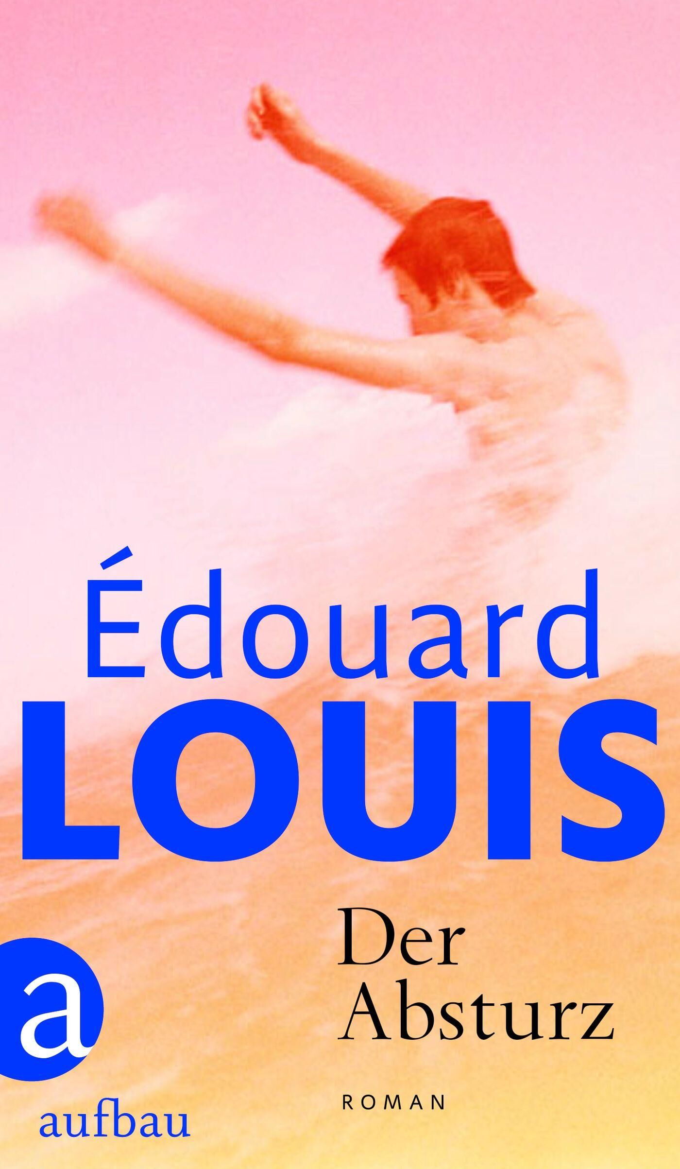 Cover Louis, É: Absturz