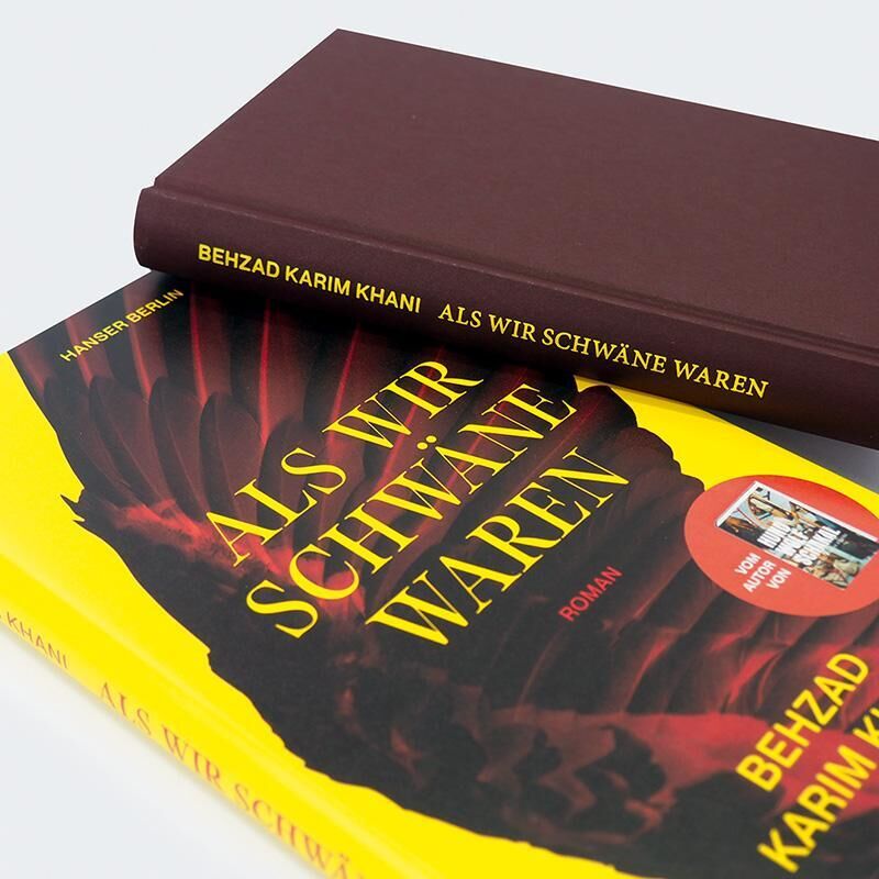 Innenansicht zu Khani, B: Als wir Schwäne waren