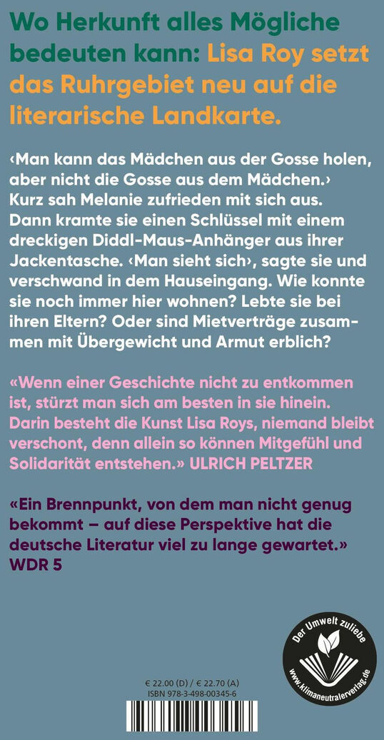 Das Buch 'Keine gute Geschichte' von Lisa Roy. Blaues Cover mit weißen Texten und roten Akzenten. Enthält Zitate und Zusammenfassungen zur Thematik des Buches.